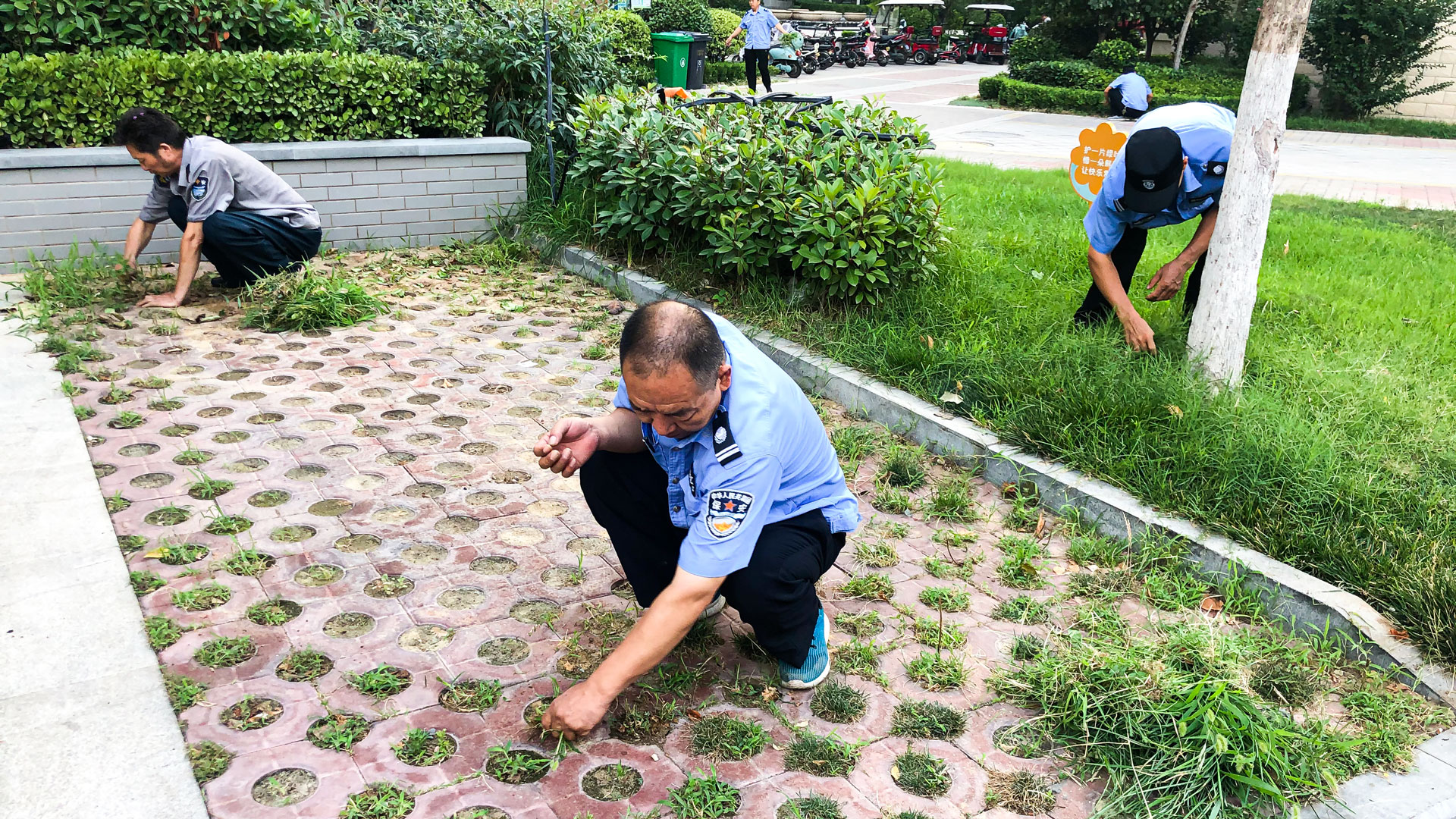 物业.jpg