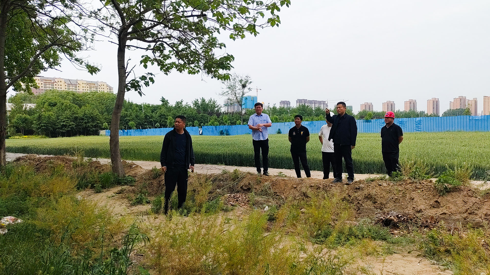 本土地产的实力担当-宇龙地产2.jpg